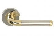 Dale Hardware Orbit Brass/Polished Chrome Lever on Rose Door