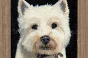 Westie